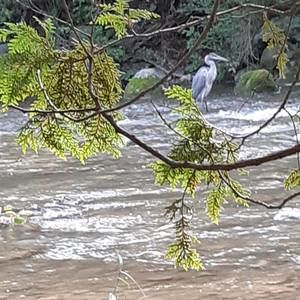 Meet your Posher, Deborah